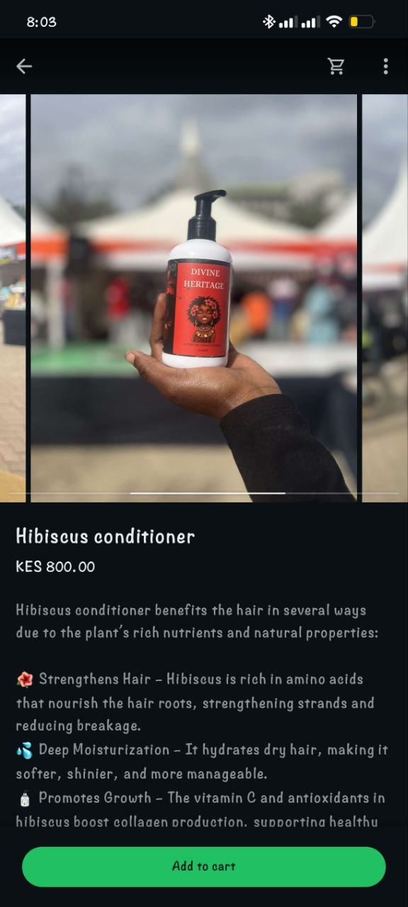 Hibiscus Conditioner